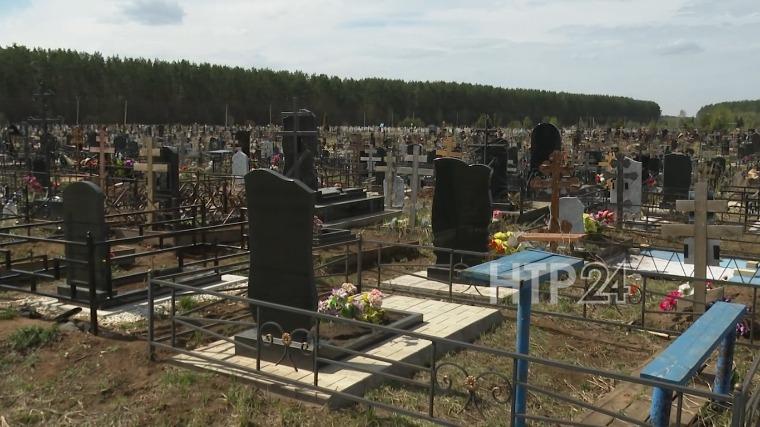 На кладбище Нижнекамска произвели дератизацию
