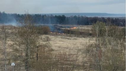В Нижнекамске вновь загорелось поле