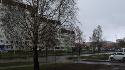 В Татарстане ожидается гроза и ветер до 22 м/с - НТР 24