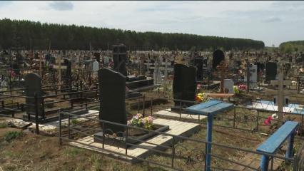 На кладбище Нижнекамска произвели дератизацию - НТР 24