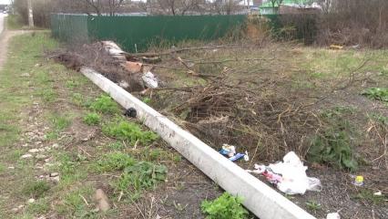 В Нижнекамске два СНТ поспорили из-за свалки - НТР 24