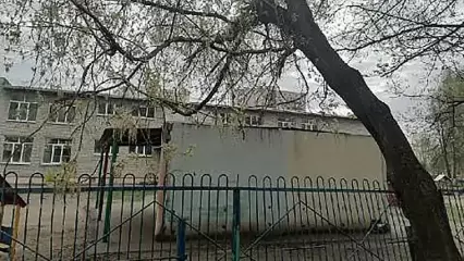 Житель Нижнекамска просит спилить дерево, которое может упасть на веранду в детском саду