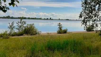 В Нижнекамском районе планируют построить современный пляж за 10 млн рублей - НТР 24