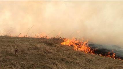 Пожарные ликвидировали возгорание сухой травы у дороги около Нижнекамска - НТР 24