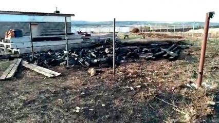 Из-за возгорания травы около Нижнекамска сгорели стройматериалы в поселке для многодетных - НТР 24