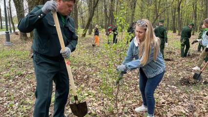 В Нижнекамском районе в ходе акции «Сад памяти» высадили 400 берёз - НТР 24