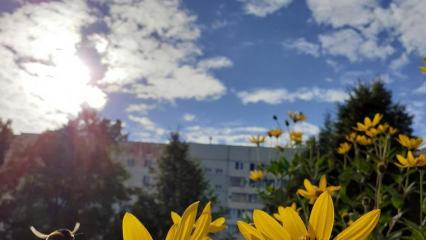 9 мая в Татарстане потеплеет до 25 градусов - НТР 24