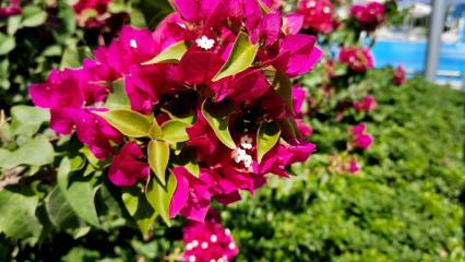 В Татарстане синоптики прогнозируют потепление до +27 градусов - НТР 24