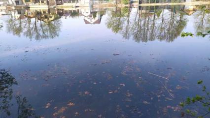 В Нижнекамске пропал мужчина, его ищут водолазы в Пионерском озере - НТР 24