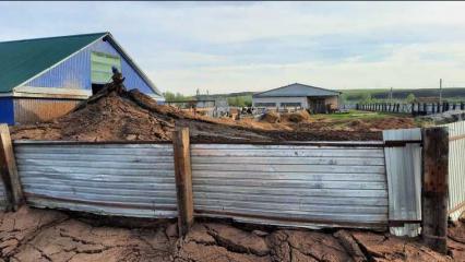 На фермера из Нижнекамского района пожаловались из-за навоза - НТР 24