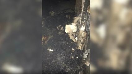 В Нижнекамске из-за короткого замыкания сильно пострадала квартира - НТР 24