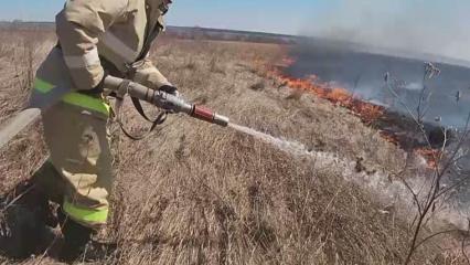 Алексей Песошин: обстановка с пожарами остаётся сложной - НТР 24