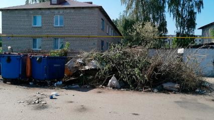 Жительница села под Нижнекамском жалуется на появление крыс из-за мусора