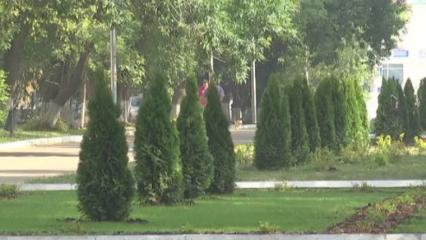 В Татарстане продолжают благоустраивать парки и скверы - НТР 24