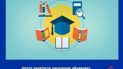 Нижнекамцы смогут обучиться нескольким профессиям бесплатно - НТР 24