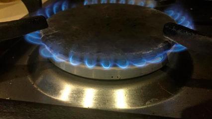 Дума примет поправки о бесплатном подведении газа к участкам до конца весенней сессии - НТР 24