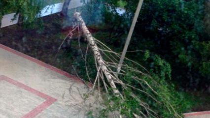 Метеорологи прогнозируют сильный ветер в Татарстане - НТР 24