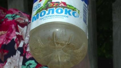 Жители деревни под Нижнекамском вынуждены пить ржавую воду - НТР 24