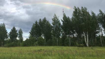 В Татарстане снова ждут дожди, грозы и сильный ветер - НТР 24