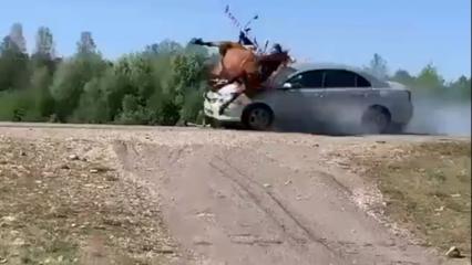 В Башкирии автомобиль на скорости влетел в гужевую повозку с артистами