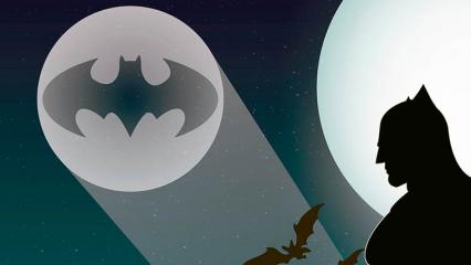 Baza: в Башкирии сотрудники МЧС поймали «маленького Бэтмена» - НТР 24