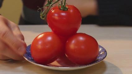 Эти важные правила ухода уберегут томаты от растрескивания