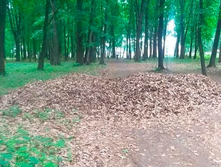 «Листья — это не мусор!»: нижнекамец не понимает, для чего в лесу сгребают в кучи прошлогодние листья
