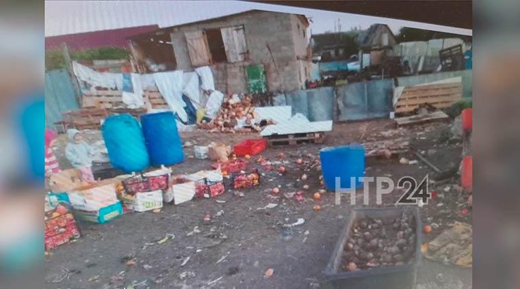 Фермера из села в Нижнекамском районе обязали очистить участок от навоза и отходов