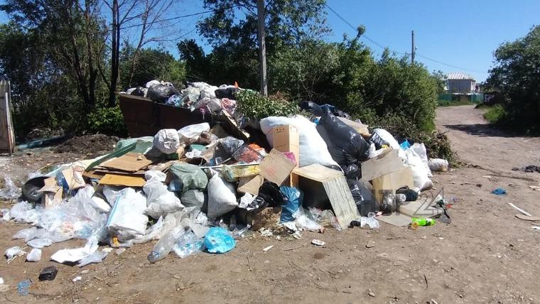 Нижнекамские дачники возмущены горой мусора на территории СНТ «НК»