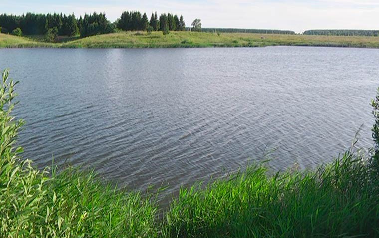 Глава минэкологии Татарстана ожидает увеличение количества рыбы в Куйбышевском водохранилище