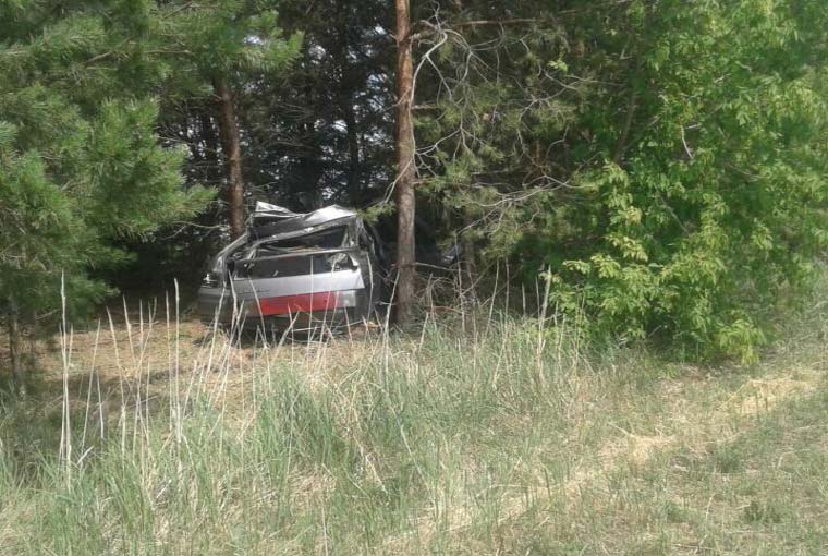 На трассе в Татарстана легковушка сбила лошадь и вылетела в кювет — погибло трое
