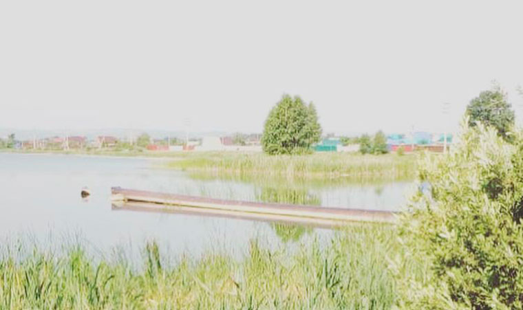 Нижнекамцев приглашают на очистку Пионерского озера
