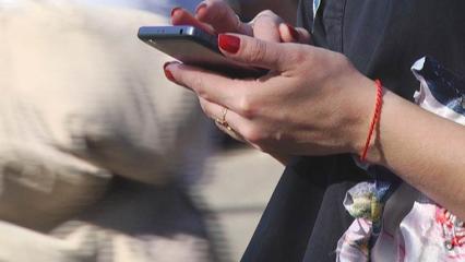 Как об стенку горох: мошенники активизировались не на шутку - НТР 24