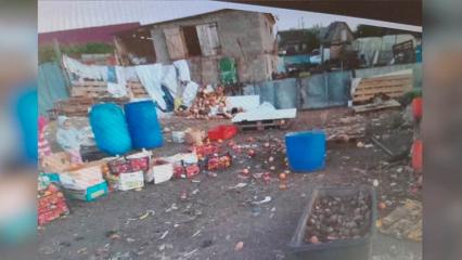 Фермера из села в Нижнекамском районе обязали очистить участок от навоза и отходов - НТР 24