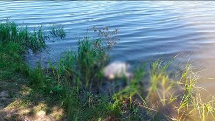 На реке Зай около Нижнекамска утонул 49-летний рыбак из Бугульмы