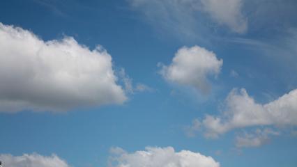 В Нижнекамске обнаружили превышение содержания фенола в воздухе - НТР 24