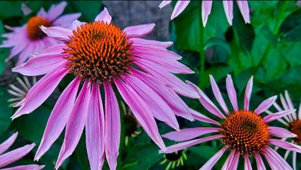 Синоптики рассказали, какой будет эта неделя в Татарстане - НТР 24