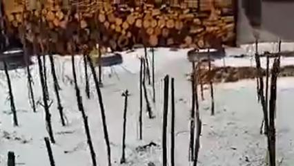 В одном из районов Республики Татарстан сильный град уничтожил урожай - НТР 24