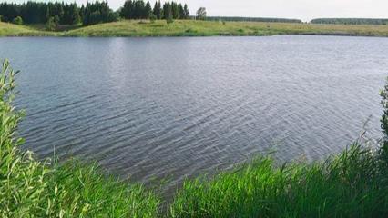 Глава минэкологии Татарстана ожидает увеличение количества рыбы в Куйбышевском водохранилище - НТР 24