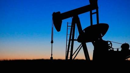 Житель Казани осуждён за слив более 70 тонн нефти