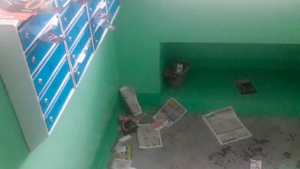 Житель Нижнекамска недоволен разбросанными листовками около почтовых ящиков - НТР 24