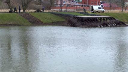 Экологический парк в Нижнекамске возьмут под наблюдение - НТР 24