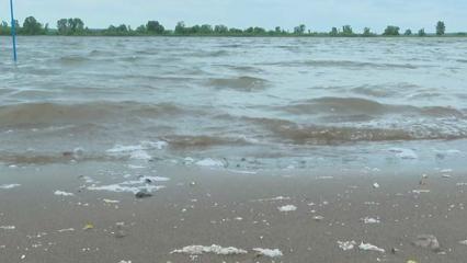 Три водных объекта в Республике Татарстан будут очищены - НТР 24