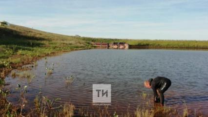 В Татарстане подросток утонул в озере