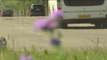 Правительство РФ хочет ввести новый штраф для автомобилистов - НТР 24