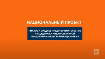 В Татарстане бизнесмены могут получить до полумиллиона рублей на реализацию своих идей