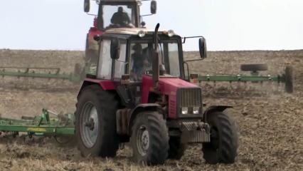 Нижнекамскую пенсионерку, которая хотела купить трактор, обманул мошенник из Москвы - НТР 24