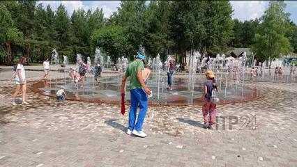 Жителям Нижнекамска дали советы по спасению от жары