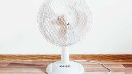 Терапевт предупредила о вреде вентиляторов в жару - НТР 24