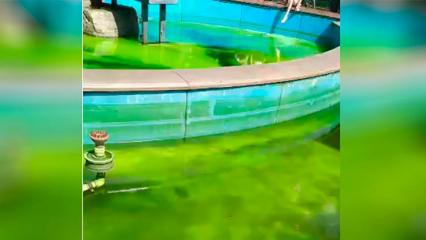 Жительница Нижнекамска показала, что стало с фонтаном после купания в нем детей - НТР 24